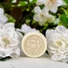 see more listings in the Lotion Bars section