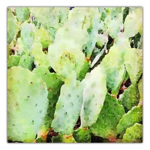 Cactos | Download instantâneo | 12x12
