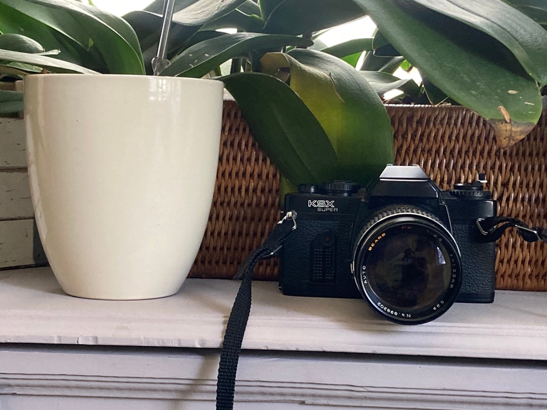 Appareil photo argentique 35 mm SEARS Focus Free, vintage des années 1990 - Testé pour fonctionner - France
