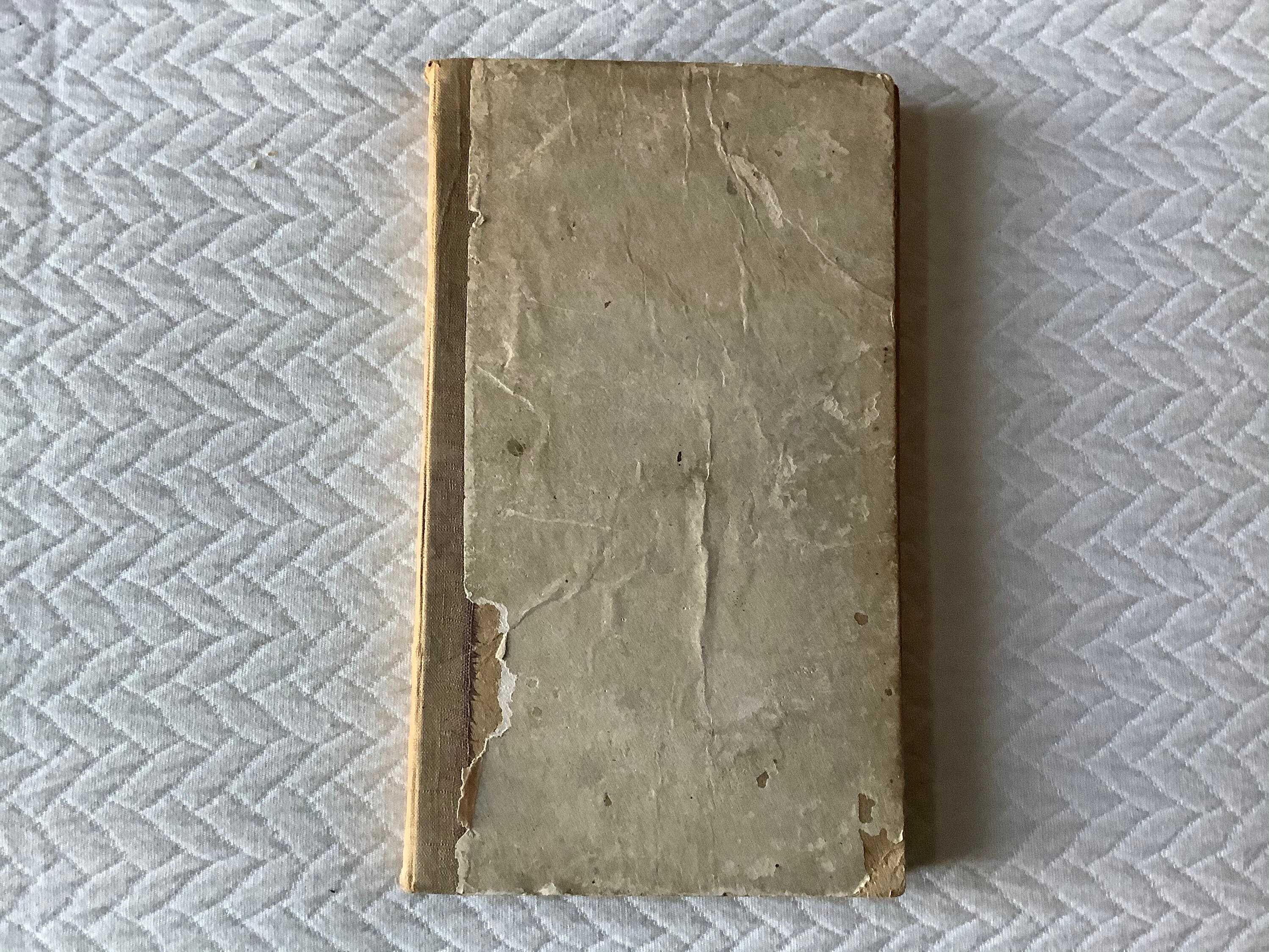 Persuasive essay topics 2021 image