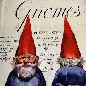 1977 Gnomes Book - Etsy