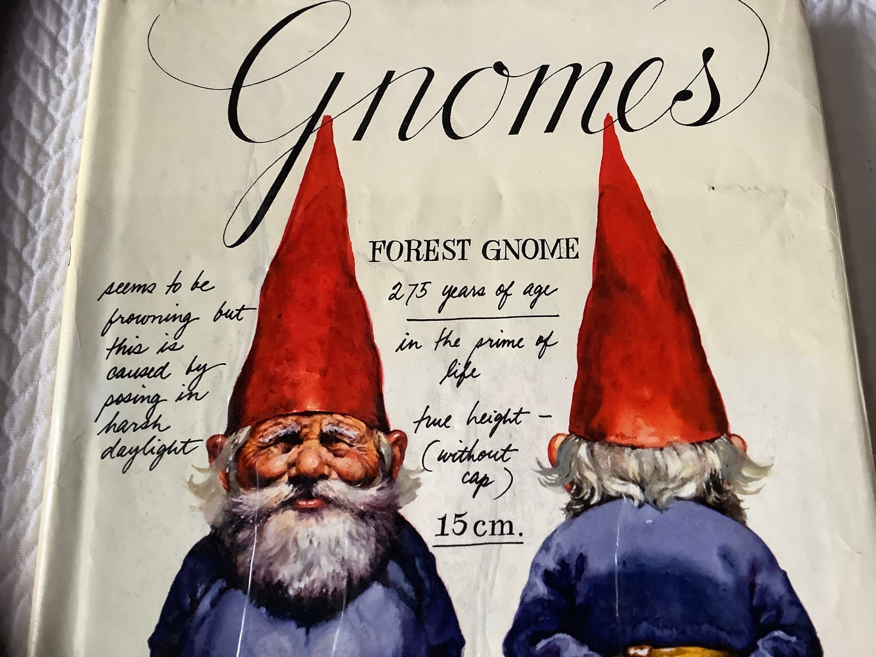 1977/ Gnomes Book/ How Do Gnomes Live?/ Forest Gnome/ Beautiful