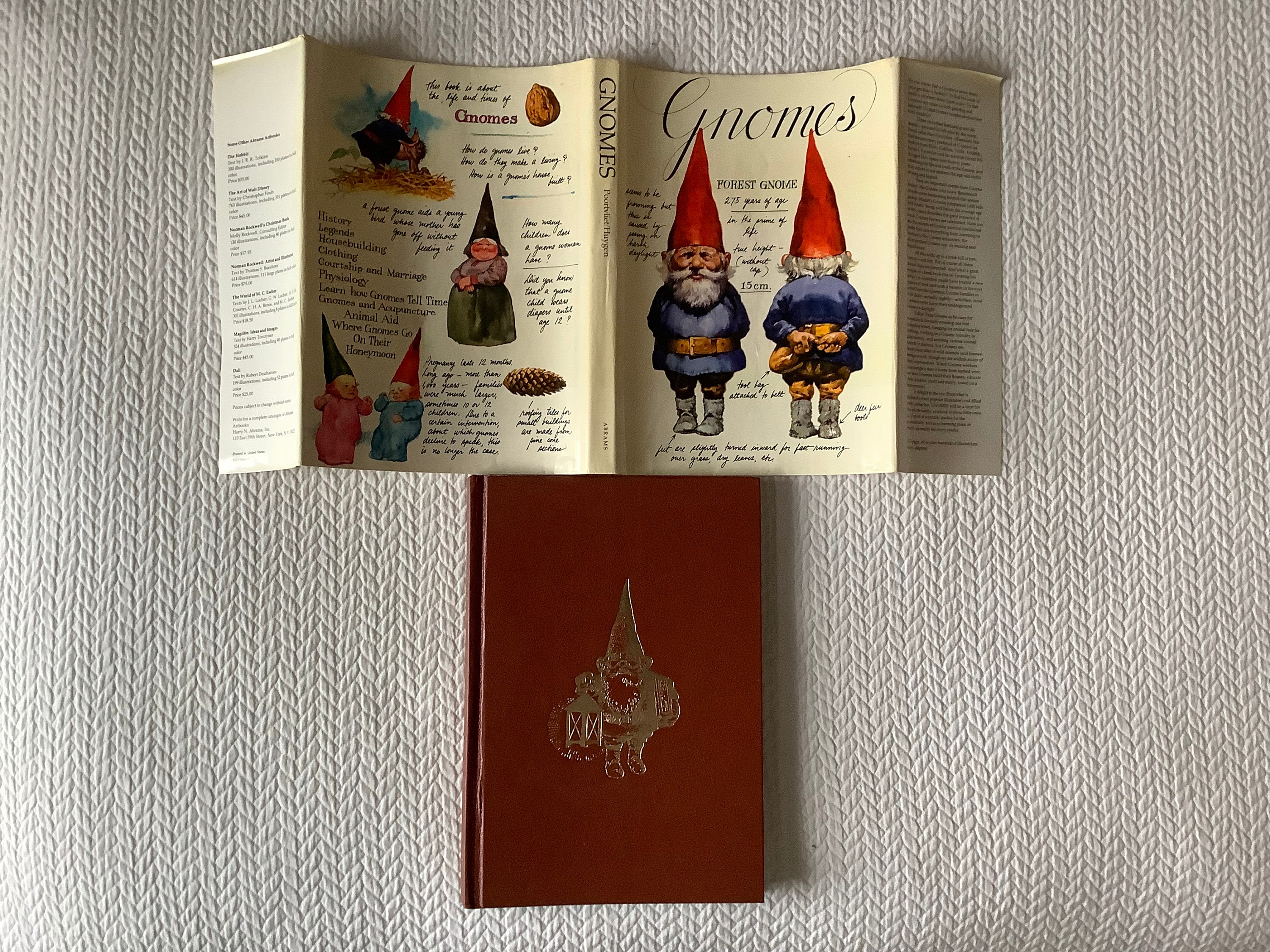 1977/ Gnomes Book/ How Do Gnomes Live?/ Forest Gnome/ Beautiful