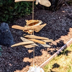 May include: A seashell wind chime with driftwood and various seashells hanging from a string. The wind chime is hanging in a garden setting with green grass and brown mulch.