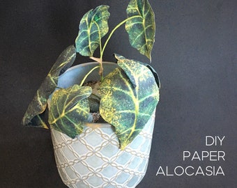 Paper Alocasia home plant DIY decoration, Home improvement project