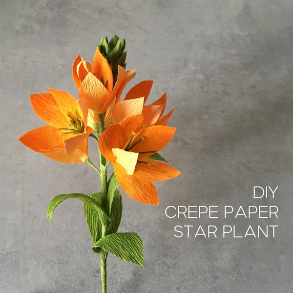 Crepe paper Star flower tutorial +petal and leaf templates, DIY gift for crafty friend, Cozy home decoration idea