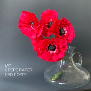 Tutorial facile e veloce su Poppy in carta crespa, progetto artigianale per la famiglia, forniture scolastiche fai-da-te per principianti