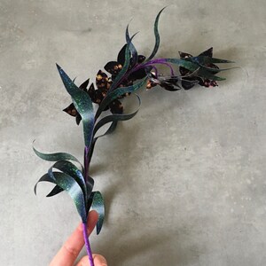 paper Black orchid