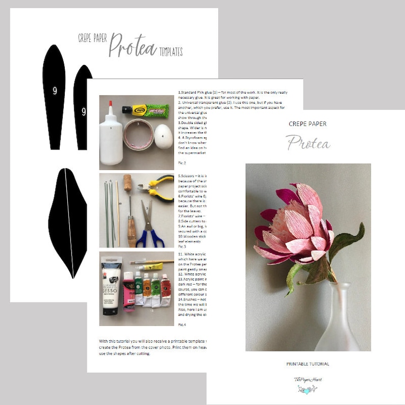 crepe paper Protea flower tutorial + templates