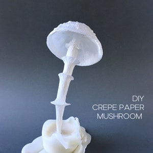 Tutorial sui funghi di carta crespa, formazione sulla fiducia nella carta crespa, decorazione del giardino di casa, decorazione della scrivania dell'ufficio