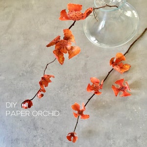 Kit fai da te Paper Wild Orchid + istruzioni PDF, regalo Flower Killer per lei