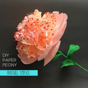 Crepe paper Bomb Peony templates, Gift for Her
