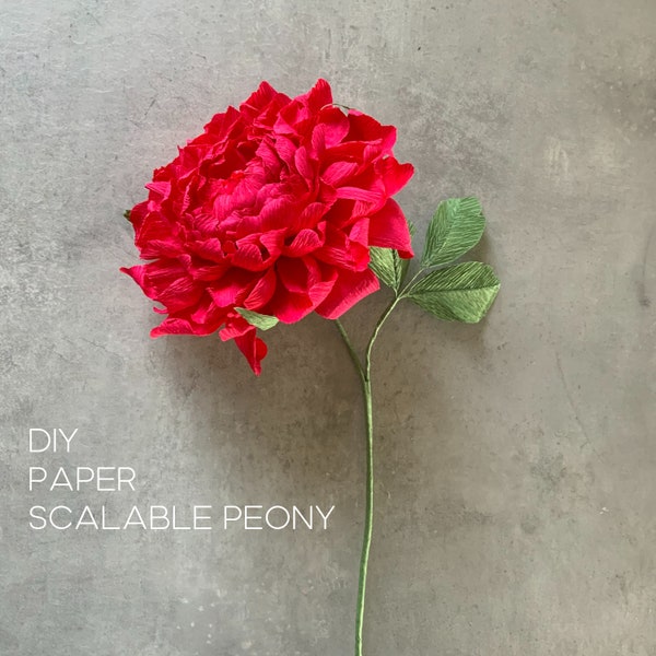 DIY crepe paper Peony scalable flower construction - tutorial + templates