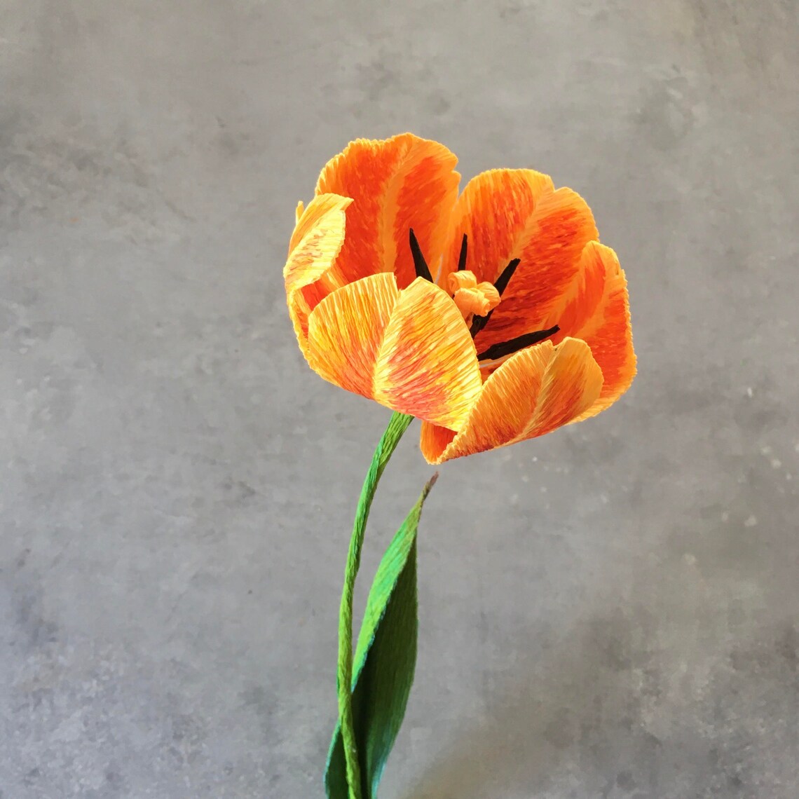 Crepe Paper Tulip Tutorial and Printable Templates Etsy Denmark