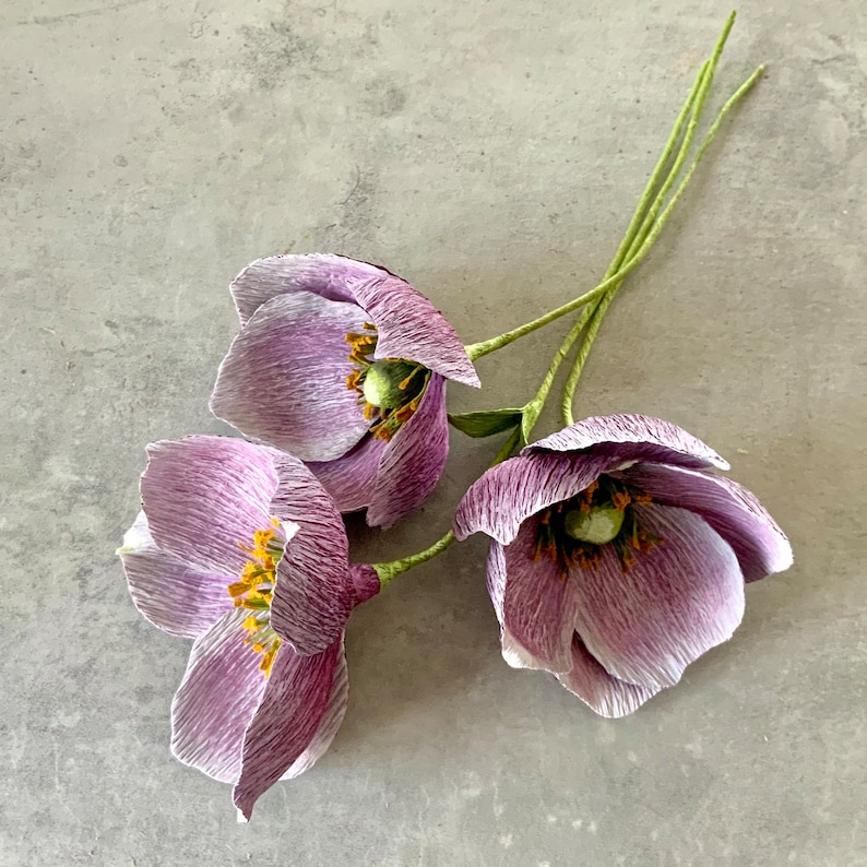 Crepe Paper Anemone Flowers Tutorial Templates Book Etsy