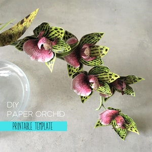 Tutorial e modelli stampabili di Paper Orchid, decorazione floreale fai-da-te, set artigianale digitale
