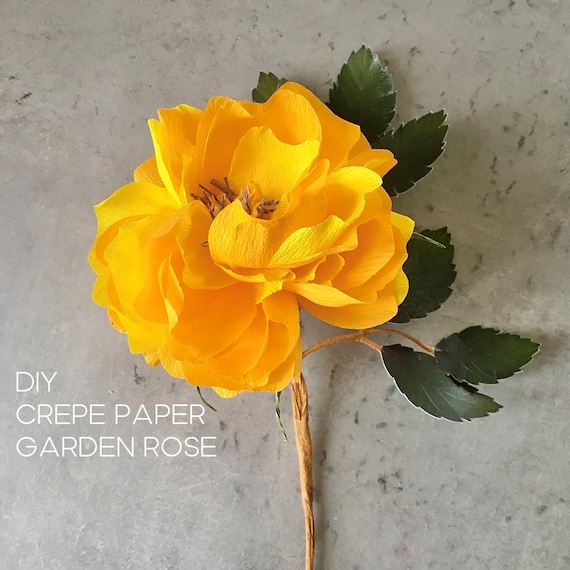 Crepe Paper Rose Tutorial Printable Templates SVG and PNG - Etsy