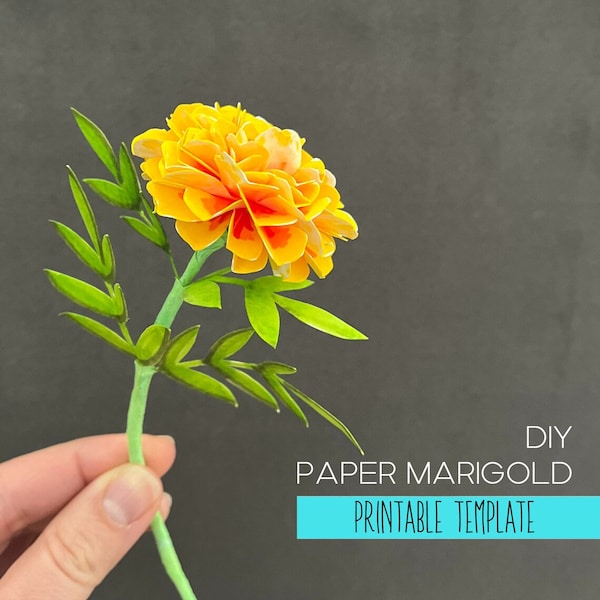 Paper Marigold flower - templates and Cricut files