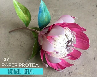 Copy paper Protea flower printable templates