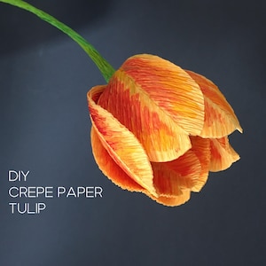 Tulipano di carta crespa - tutorial e modelli stampabili