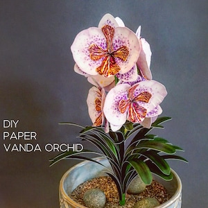 May include: A paper Vanda orchid with white petals featuring purple spots and a central orange and brown pattern. The plant has dark green leaves and is potted in a container with small stones. The text DIY PAPER VANDA ORCHID is visible.