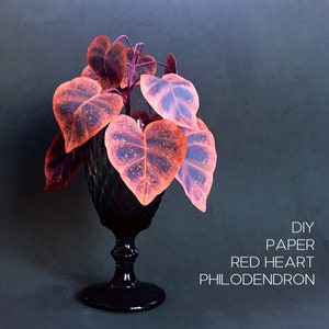 Decorazione sentimentale di piante per la casa e l'ufficio, pianta di carta Red Heart Philodendron - modelli e tutorial, file per Cricut