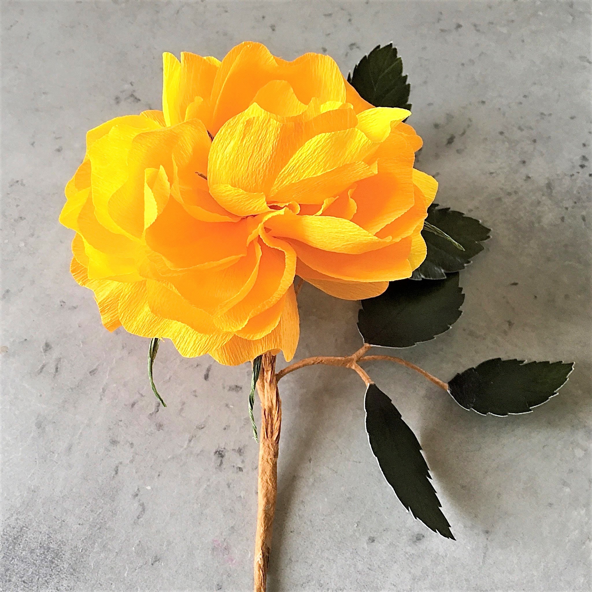 Crepe Paper Rose Tutorial + Printable Templates + SVG Files - Etsy