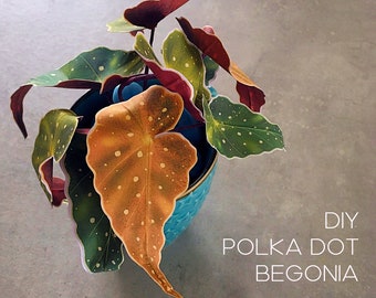 Polka Dot Begonia paper plant  -  hand cut printable templates + Cricut templates + assembly instructions