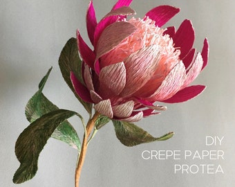 Krepppapier Protea - Anleitung + Vorlagen für handgemachte Blumen