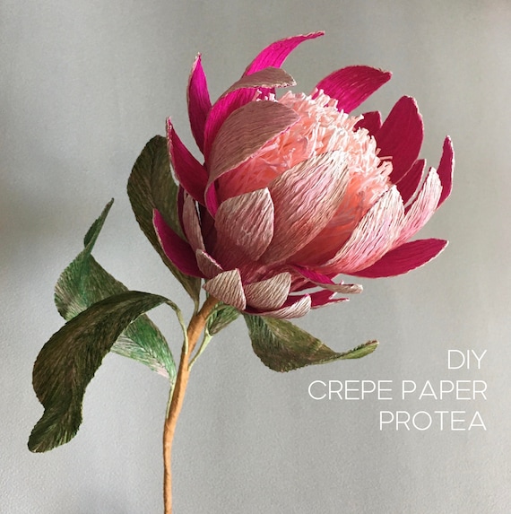 Crepe paper Protea - handmade paper flower tutorial + printable templates