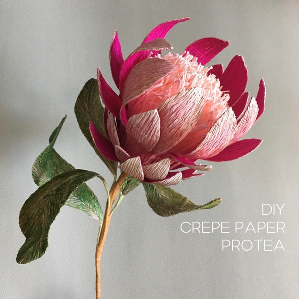 Papier crépon Protea - tutoriel fleurs faites main + modèles