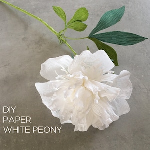 Peonía de papel crepé blanco suave: instrucciones paso a paso con fotos detalladas, el mejor regalo para artesanos, idea de decoración del hogar