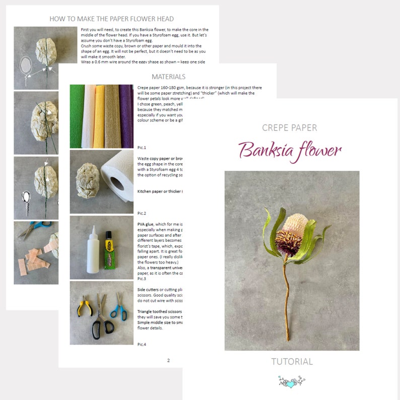 May include: A guide on crafting a Banksia flower using crepe paper. The image details the process with materials such as paper, glue, scissors, and wire. The final flower is shown, alongside the tutorial text.