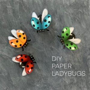 Set di 4 coccinelle di carta 3D - modelli stampabili e file Cricut + istruzioni di montaggio, diario, confezioni regalo e materiale per progetti artistici