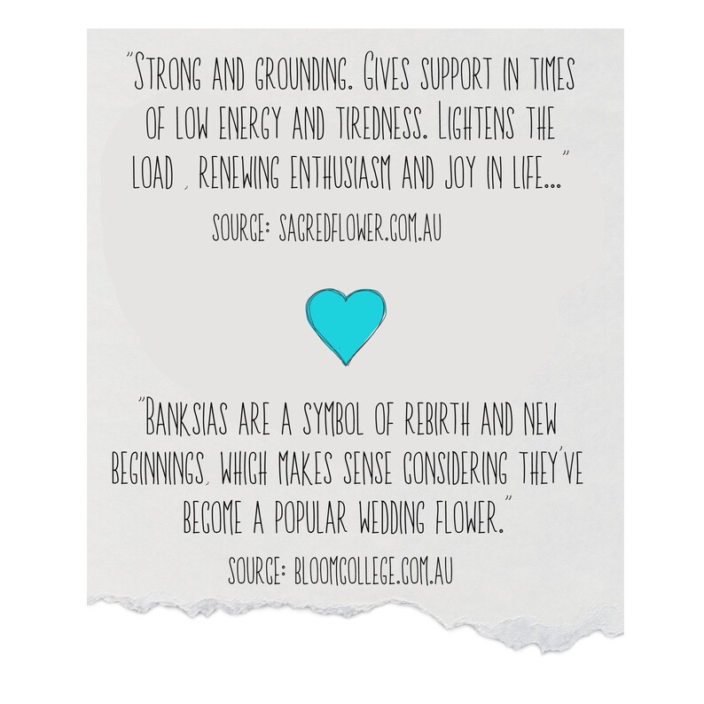 May include: A white paper with text about strength, grounding, and rebirth, featuring a turquoise heart graphic. The text includes sources from sacredflower.com.au and bloomcollege.com.au.