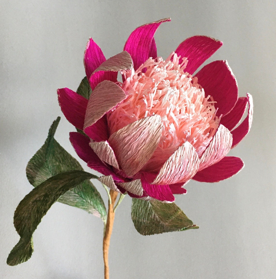 Crepe Paper Protea Handmade Flower Tutorial Templates Etsy