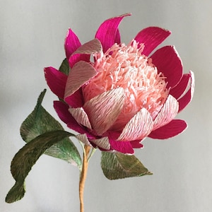 crepe paper pink King Protea