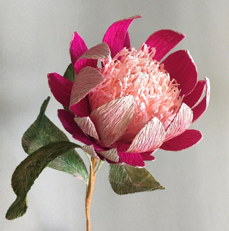 crepe paper pink King Protea