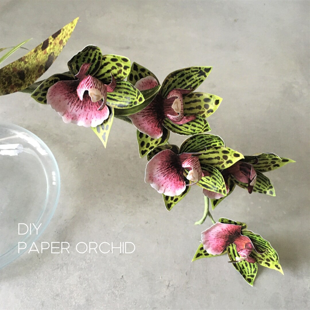 Paper Orchid Printable Tutorial and Templates DIY Flower Etsy UK