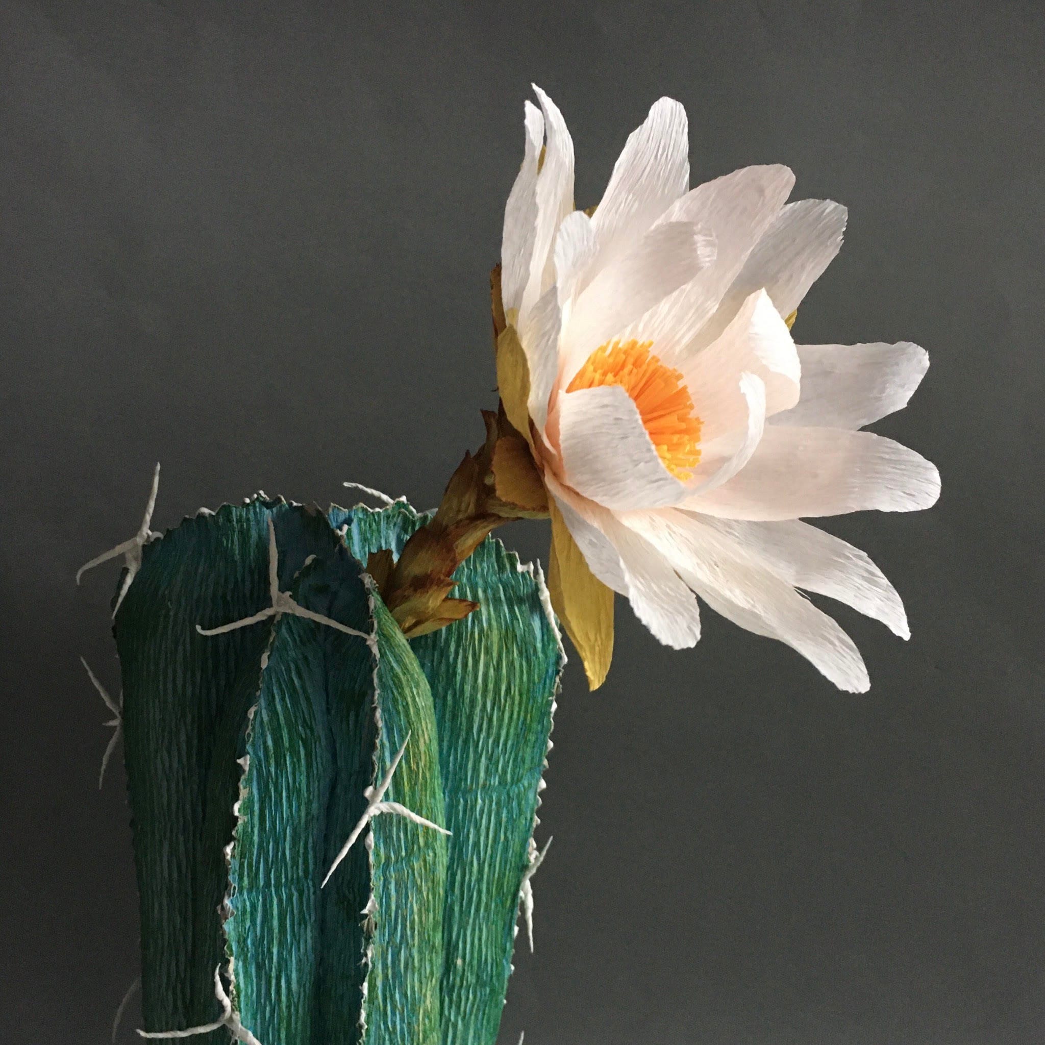 ThePaperHeart DIY crepe paper flowering cactus tutorial for Etsy