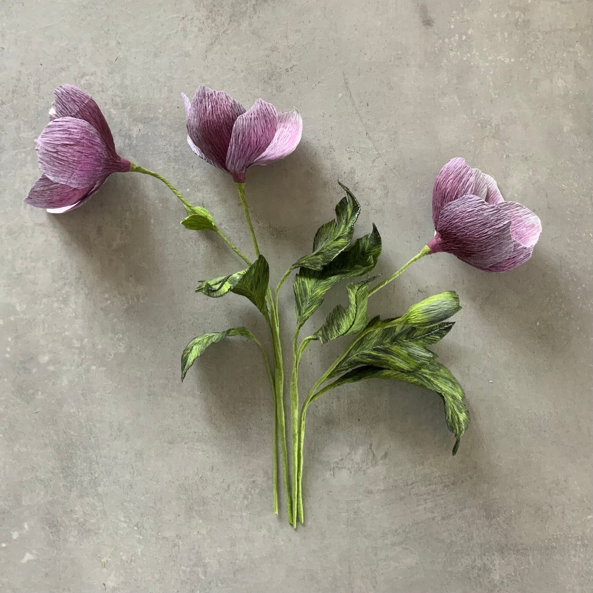 Crepe Paper Anemone Flowers Tutorial Templates Book Etsy