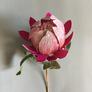 DIY crepe paper Protea