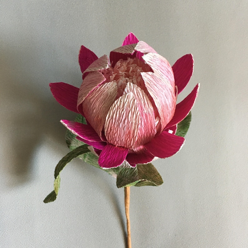 DIY crepe paper Protea