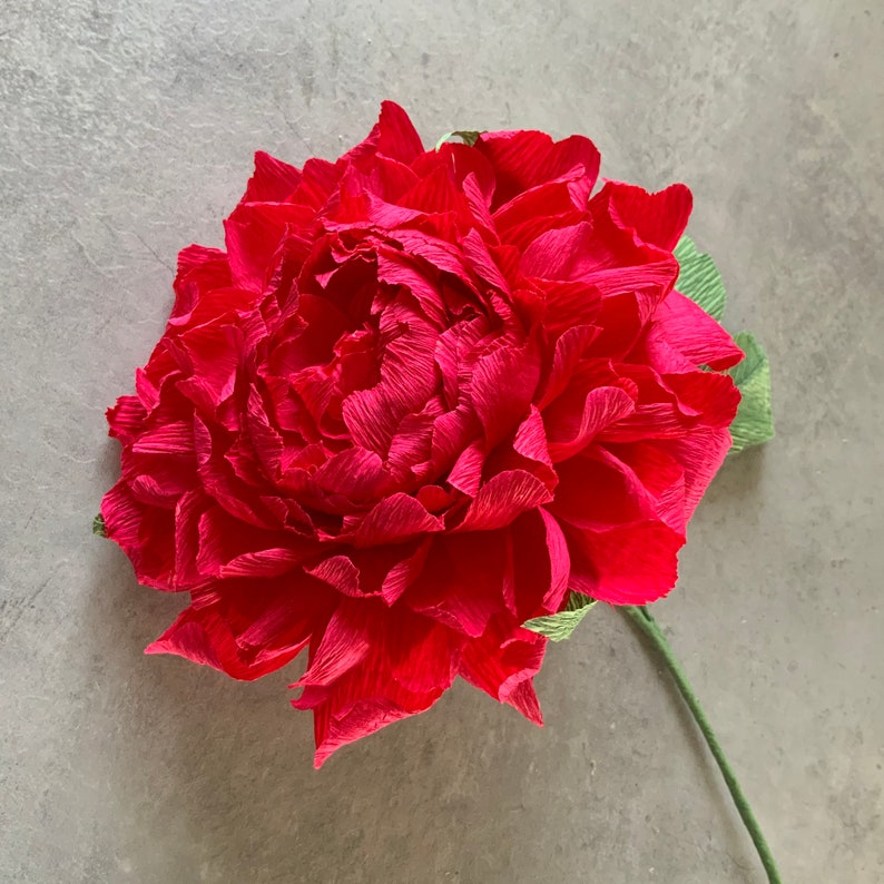 DIY Crepe Paper Peony Scalable Flower Construction Tutorial Etsy