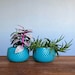 Paper Houseplant Printable Templates and Instructions, Cute Gift for ...