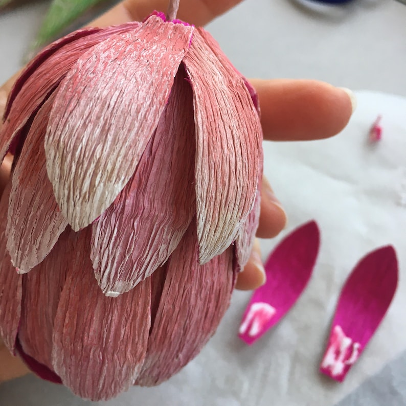 how to make paper Protea