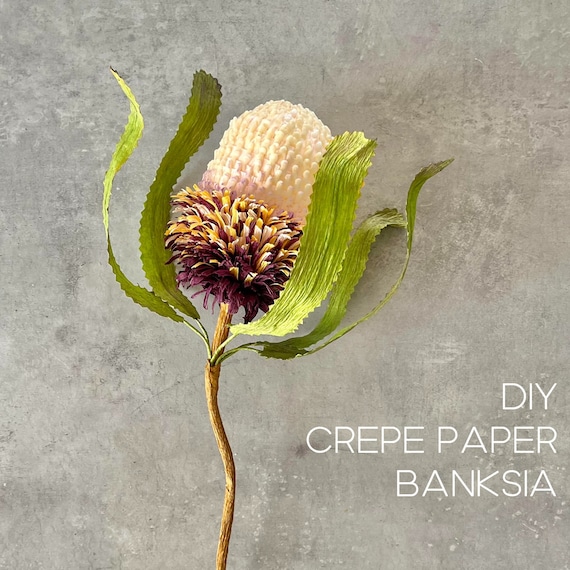 Crepe paper Banksia Protea flower tutorial , Artificial Australian native wildflower home decoration idea