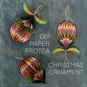 Puede incluir: Tres adornos navideños de papel con forma de protea y detalladas ilustraciones botánicas en tonos rosa, naranja y verde. Cada adorno incluye un cordón dorado para colgar. El texto DIY PAPER PROTEA CHRISTMAS ORNAMENT es visible.