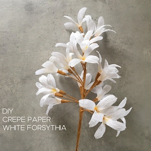 Krepppapier Forsythie - Tutorial für absolute Anfänger , Handgemachter Frühlingszweig