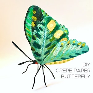 Tutorial farfalla in carta crespa + modelli